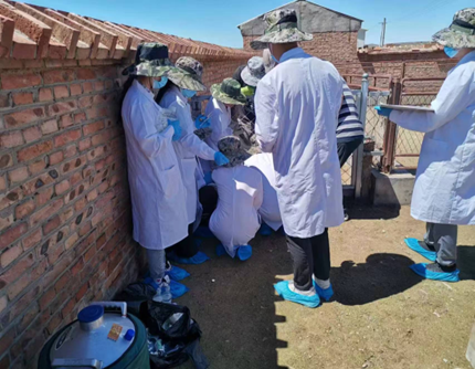 20260104/88d405ae774d2c5cfc81d9003cc12f82.png 88d405ae774d2c5cfc81d9003cc12f82.png